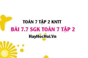 Bài 7.7 SGK Toán 7 tập 2 Kết nối tri thức